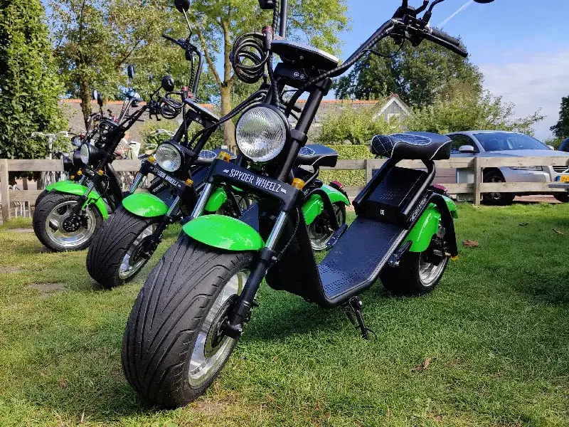 E-Chopper